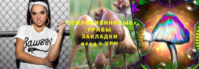 kraken tor  Подольск  Галлюциногенные грибы MAGIC MUSHROOMS 